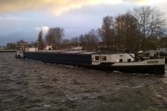 Sagitta wachten bij de Cacoa fabriek van Gerkens