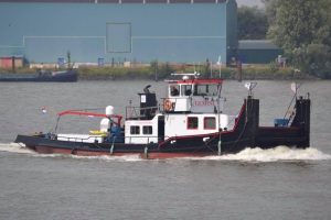 Gemini ex Bacchus te Rotterdam